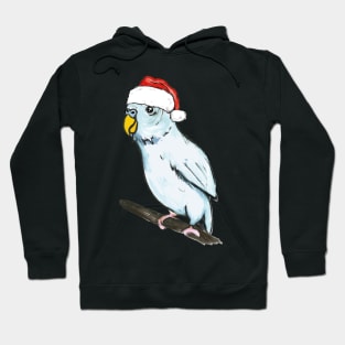 Christmas budgie Hoodie